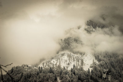 Trees on landscape against sky during winter