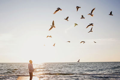 Silhouette of a man standing on the background of the sea in backlight of  sun feeding seagulls