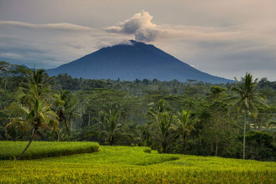 Scenic view of landscape against cloudy sky