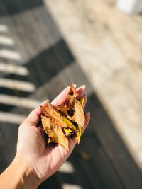 Close-up of hand holding leaf