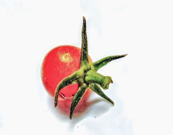 Close-up of strawberry over white background