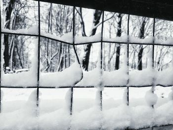 Close-up of snow covered trees on landscape