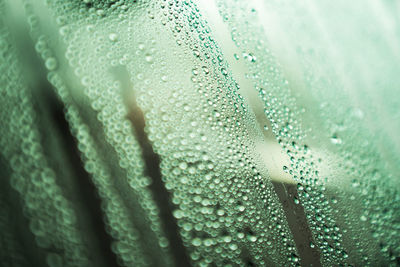 Full frame shot of water drops on glass