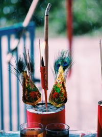 Close-up of peacock