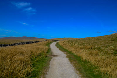 Dirt road amidst field against blue sky