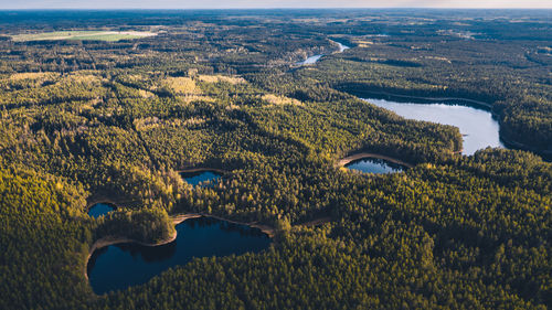 Aerial view of landscape