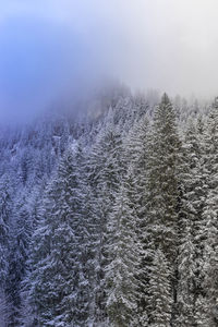 Scenic view of snow covered land
