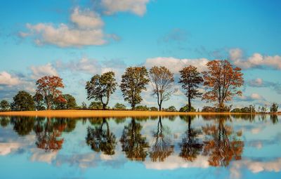 Autumn trees reflecting on lake against blue sky