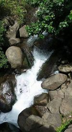 Stream flowing through rocks