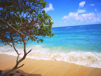 Scenic view of sea against sky