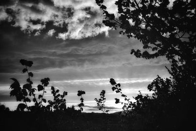 Low angle view of silhouette trees against sky at sunset