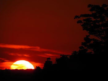 Silhouette trees against orange sky