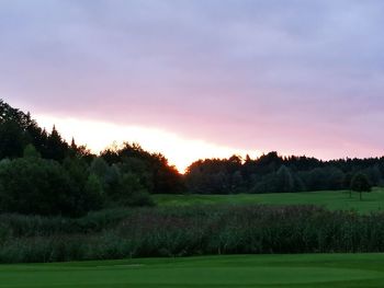 Scenic view of field against orange sky