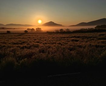 Scenic view of landscape against clear sky during sunset