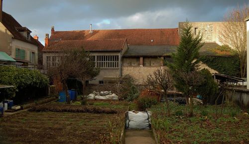 Plants in yard by house against sky