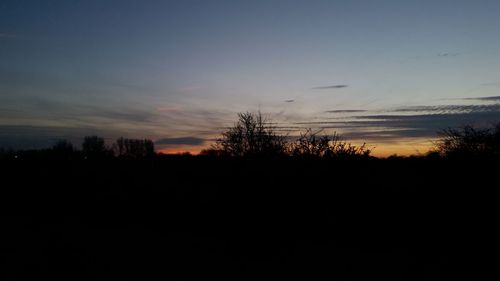 Silhouette trees against sky at sunset