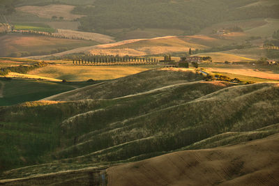 High angle view of agricultural field