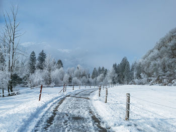 Trees on snow covered field against sky