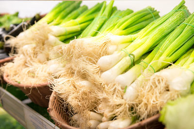 Close-up of fresh vegetables