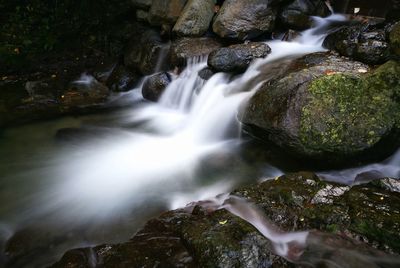 View of waterfall in forest