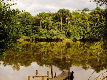 Scenic view of lake by trees against sky