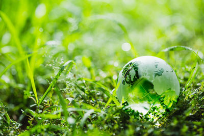 Close-up of glass ball on field