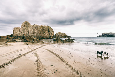 Rocks on beach against sky