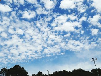 Low angle view of silhouette trees against sky