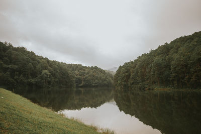 Scenic view of lake by trees against sky