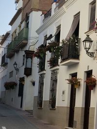 Low angle view of potted plants hanging outside building