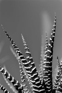 Close-up of metallic structure against gray background