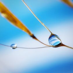 Close-up of water against clear blue sky