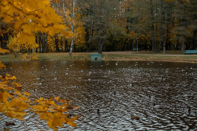 Scenic view of park during autumn