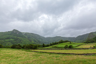 Scenic view of field against sky