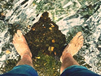 Low section of man standing on land