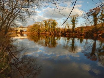 Reflection of trees in lake against sky