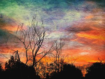 Low angle view of silhouette plants against orange sky