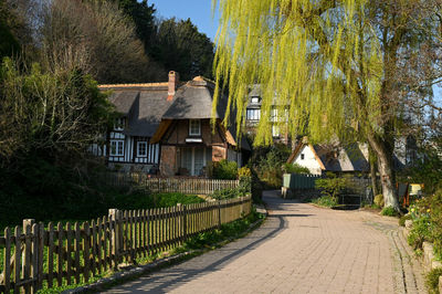 Trees and houses