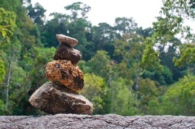 Stack of rocks against trees in forest