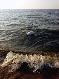 Man surfing on sea