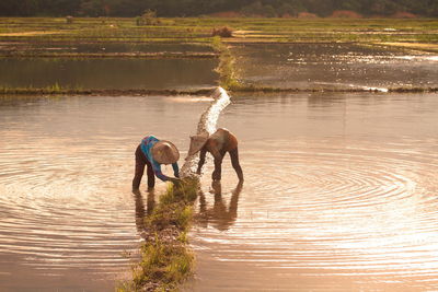 Local farmers at paddy field