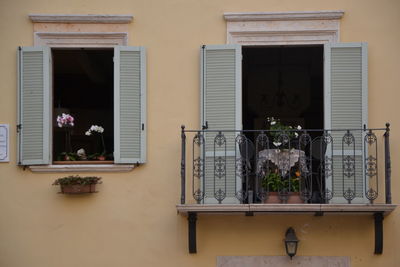Potted plants on window of house