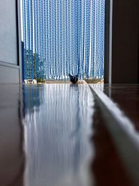 Reflection of building on glass door