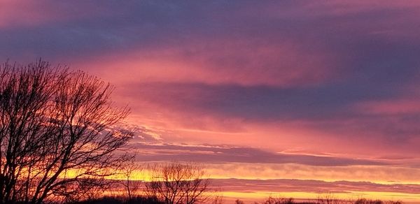 Silhouette bare trees on landscape against romantic sky at sunset