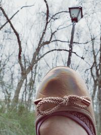 Close-up of woman on snow covered tree