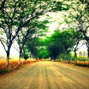 Road passing through field