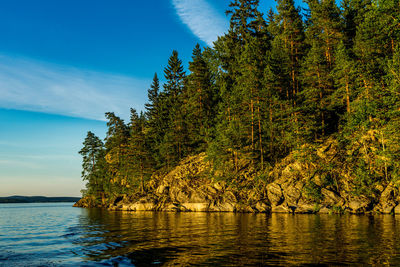 Trees by sea against blue sky