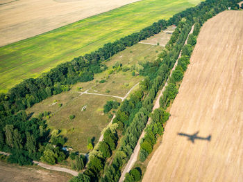 Scenic view of agricultural field