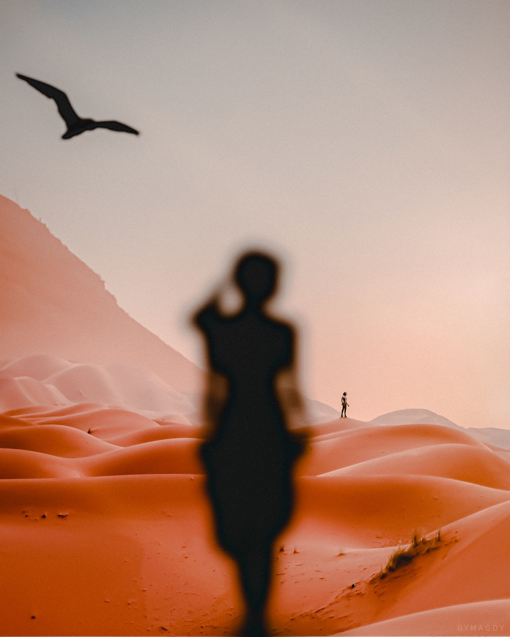 Silhouette woman standing on sand at desert