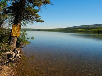 Reflection of trees in calm lake